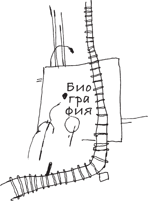 Биография